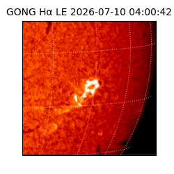 gong - 2026-07-10T04:00:42