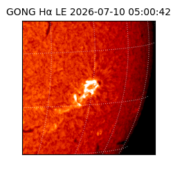 gong - 2026-07-10T05:00:42
