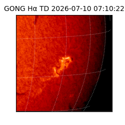 gong - 2026-07-10T07:10:22
