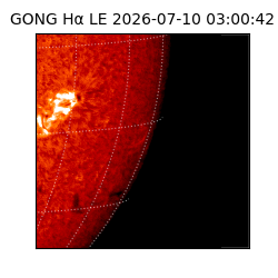 gong - 2026-07-10T03:00:42