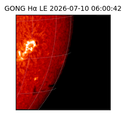 gong - 2026-07-10T06:00:42