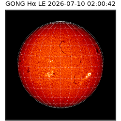 gong - 2026-07-10T02:00:42