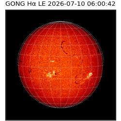 gong - 2026-07-10T06:00:42