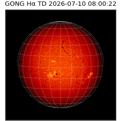 gong - 2026-07-10T08:00:22