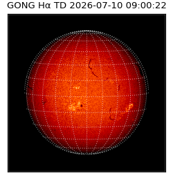 gong - 2026-07-10T09:00:22