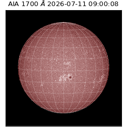 saia - 2026-07-11T09:00:08.342000