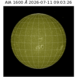 saia - 2026-07-11T09:03:26.106000