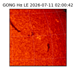 gong - 2026-07-11T02:00:42