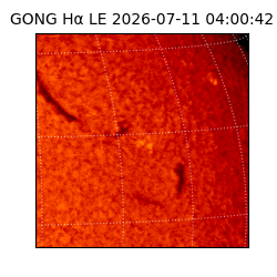 gong - 2026-07-11T04:00:42