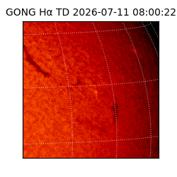 gong - 2026-07-11T08:00:22