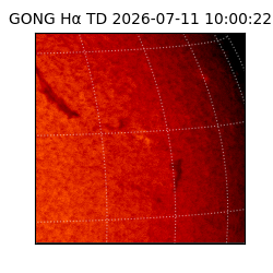 gong - 2026-07-11T10:00:22