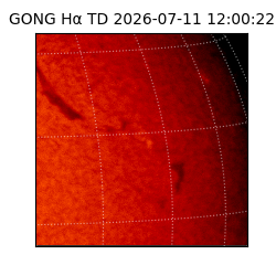 gong - 2026-07-11T12:00:22
