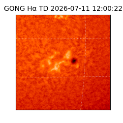 gong - 2026-07-11T12:00:22