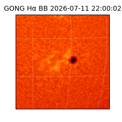 gong - 2026-07-11T22:00:02