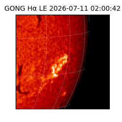 gong - 2026-07-11T02:00:42