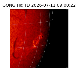 gong - 2026-07-11T09:00:22
