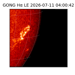 gong - 2026-07-11T04:00:42