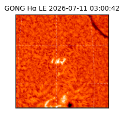 gong - 2026-07-11T03:00:42