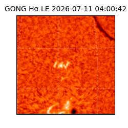 gong - 2026-07-11T04:00:42