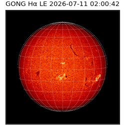gong - 2026-07-11T02:00:42