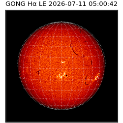 gong - 2026-07-11T05:00:42