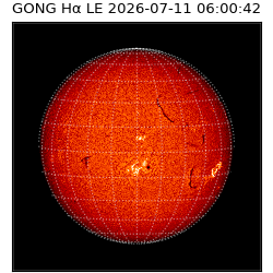 gong - 2026-07-11T06:00:42