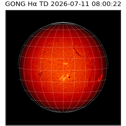 gong - 2026-07-11T08:00:22