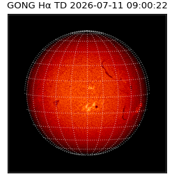 gong - 2026-07-11T09:00:22