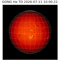 gong - 2026-07-11T10:00:22