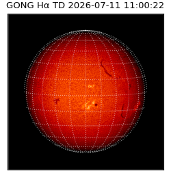 gong - 2026-07-11T11:00:22
