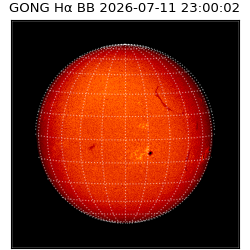 gong - 2026-07-11T23:00:02