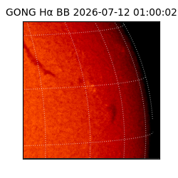 gong - 2026-07-12T01:00:02
