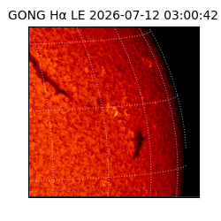 gong - 2026-07-12T03:00:42