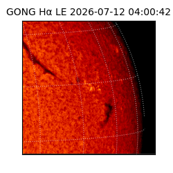 gong - 2026-07-12T04:00:42