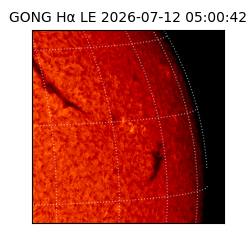 gong - 2026-07-12T05:00:42