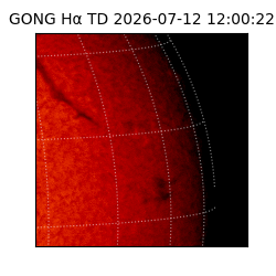 gong - 2026-07-12T12:00:22