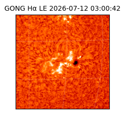 gong - 2026-07-12T03:00:42