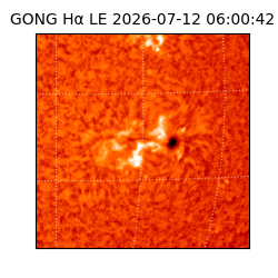 gong - 2026-07-12T06:00:42