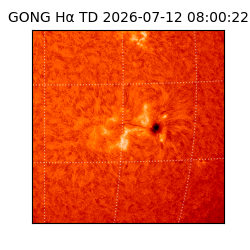 gong - 2026-07-12T08:00:22