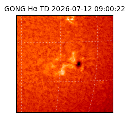gong - 2026-07-12T09:00:22