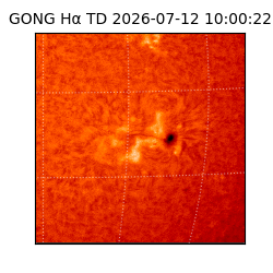 gong - 2026-07-12T10:00:22