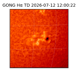 gong - 2026-07-12T12:00:22