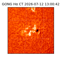 gong - 2026-07-12T13:00:42
