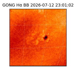 gong - 2026-07-12T23:01:02