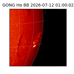 gong - 2026-07-12T01:00:02