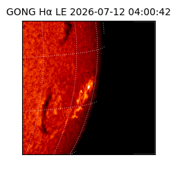 gong - 2026-07-12T04:00:42