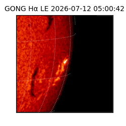 gong - 2026-07-12T05:00:42