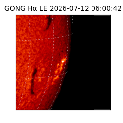 gong - 2026-07-12T06:00:42