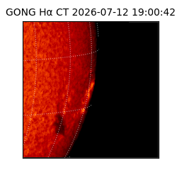 gong - 2026-07-12T19:00:42