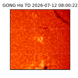 gong - 2026-07-12T08:00:22